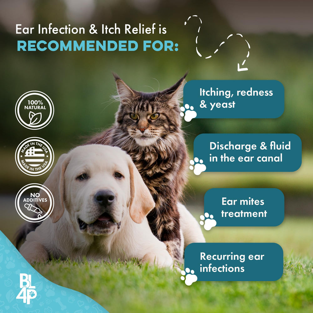 BestLife4Pets-plant-based-remedy illustrating a plant-powered ear-health solution.