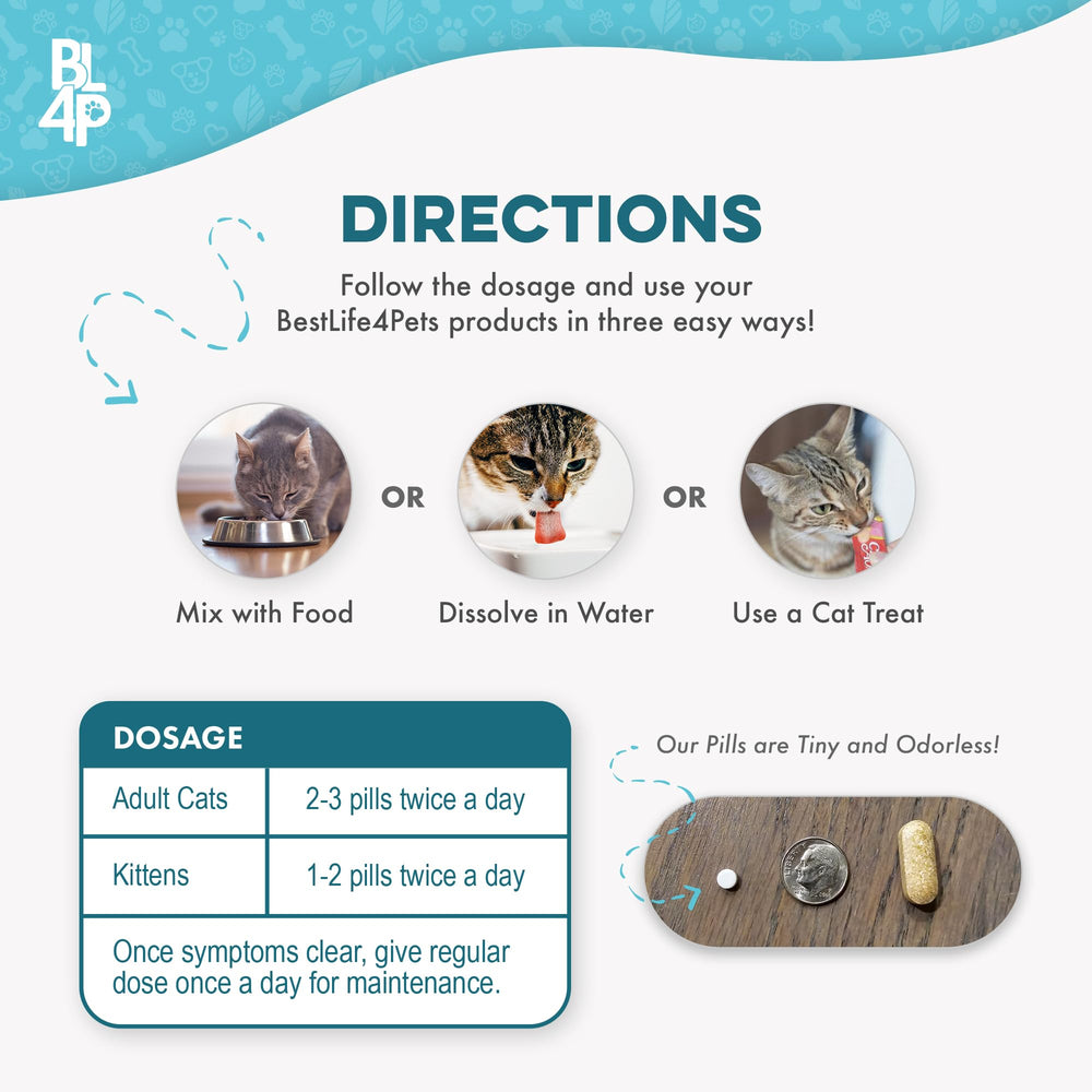 BestLife4Pets seasonal-change-relief illustration—support during weather shifts.