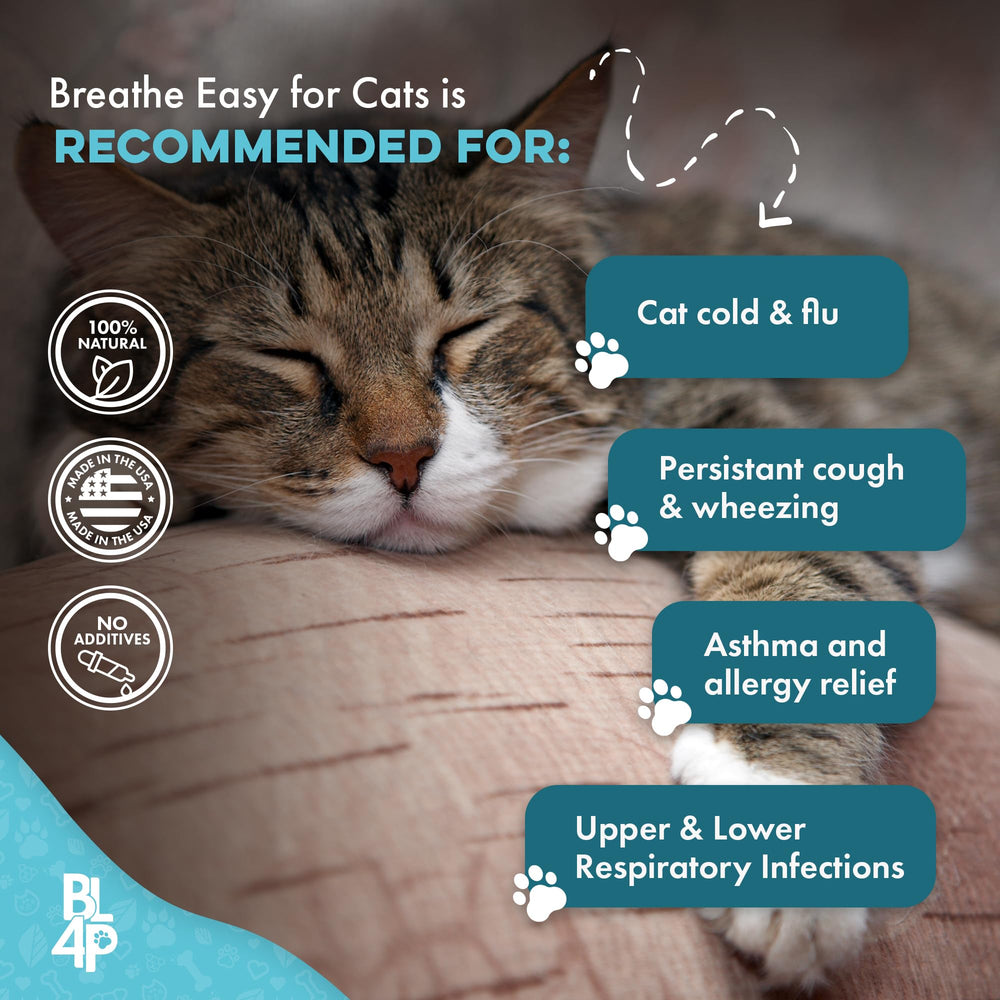 BestLife4Pets USA-made pills—trusted production standards for pet care.