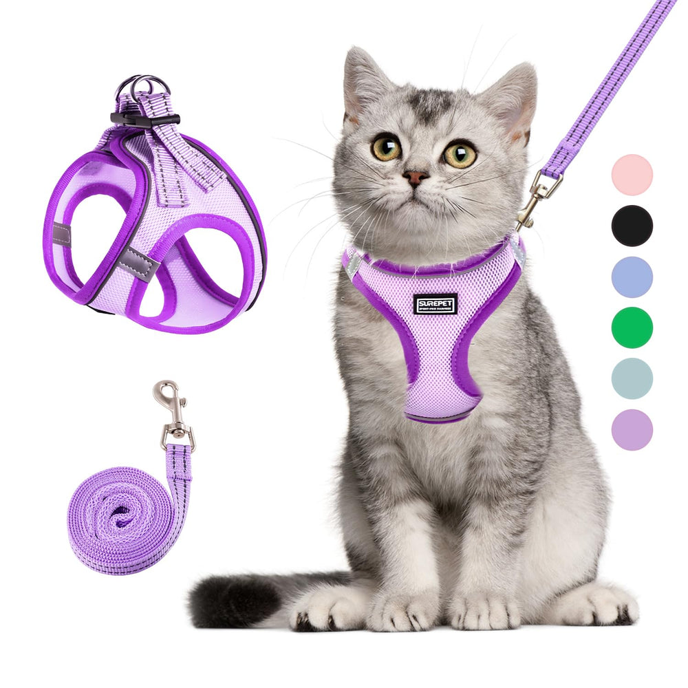 BETMAYPET cat harness worn-on-cat for secure outdoor walks.