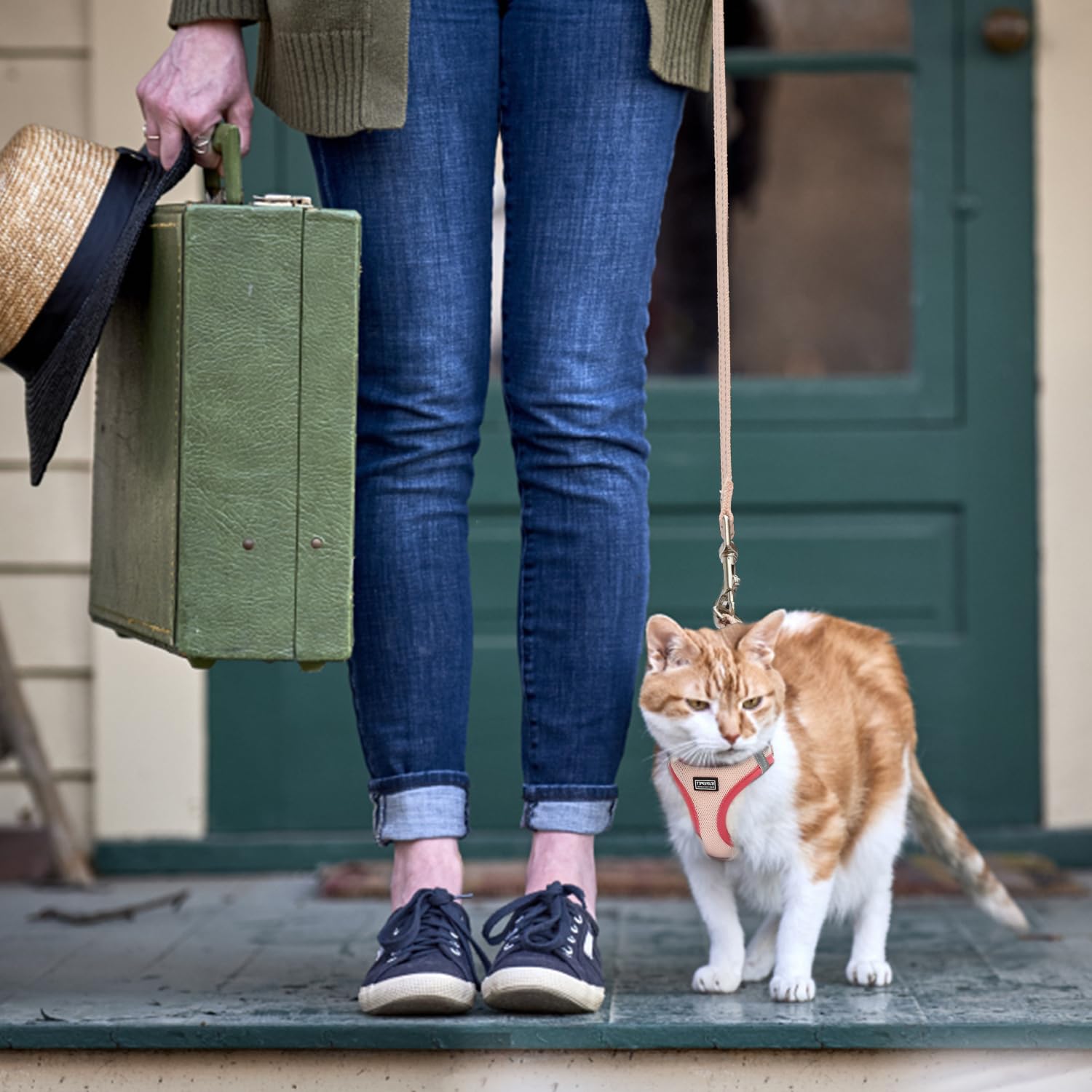 BETMAYPET one-piece harness easy-wear for quick fitting.