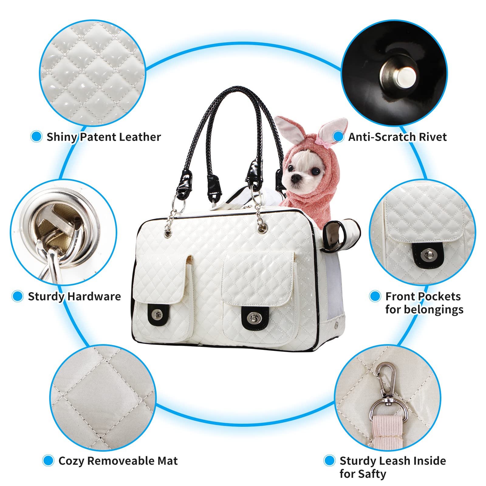 BETOP HOUSE front pockets for treats and small belongings during travel