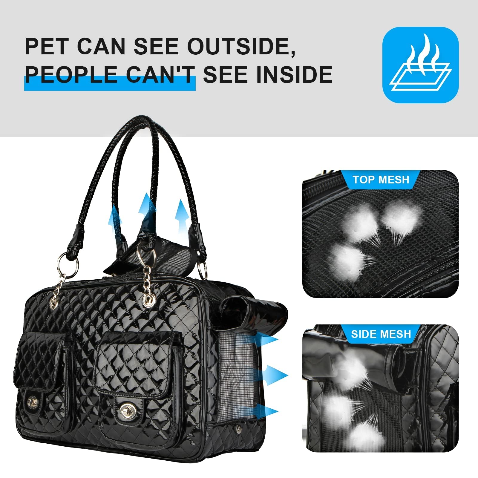 Betop House interior hook secures pet collar for safe travel.