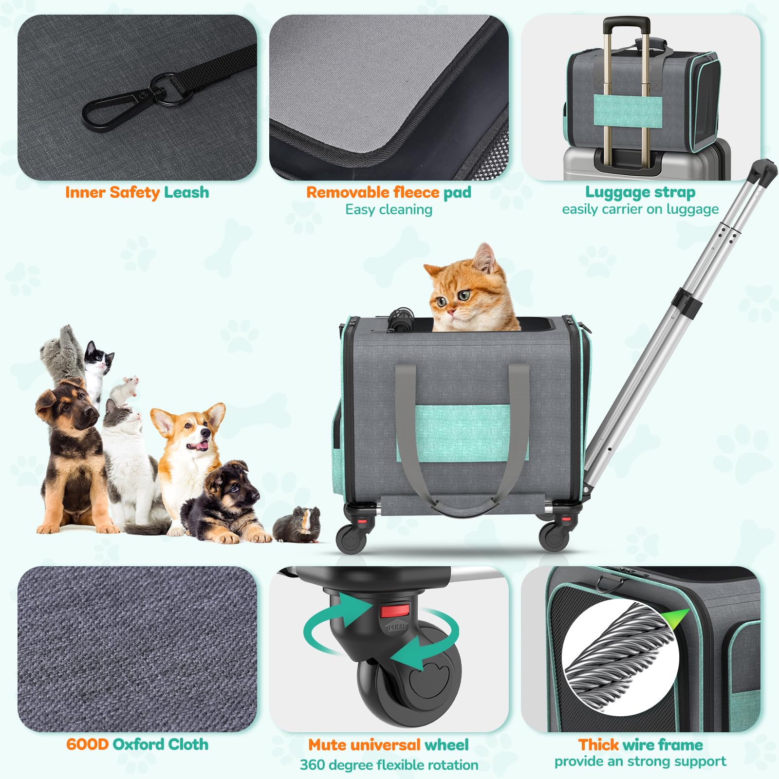 BETOPET durable frame folds flat for compact storage after travel