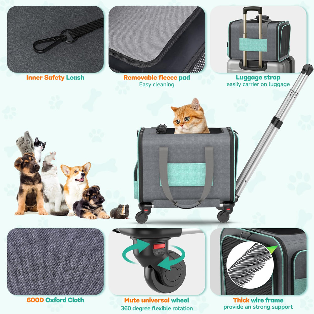 BETOPET durable frame folds flat for compact storage after travel