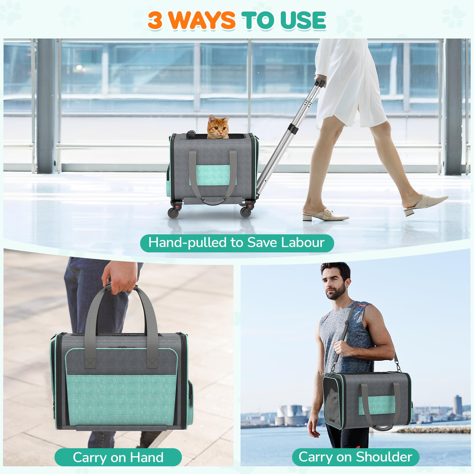 BETOPET safety leash and mesh windows ensure secure airflow during trips