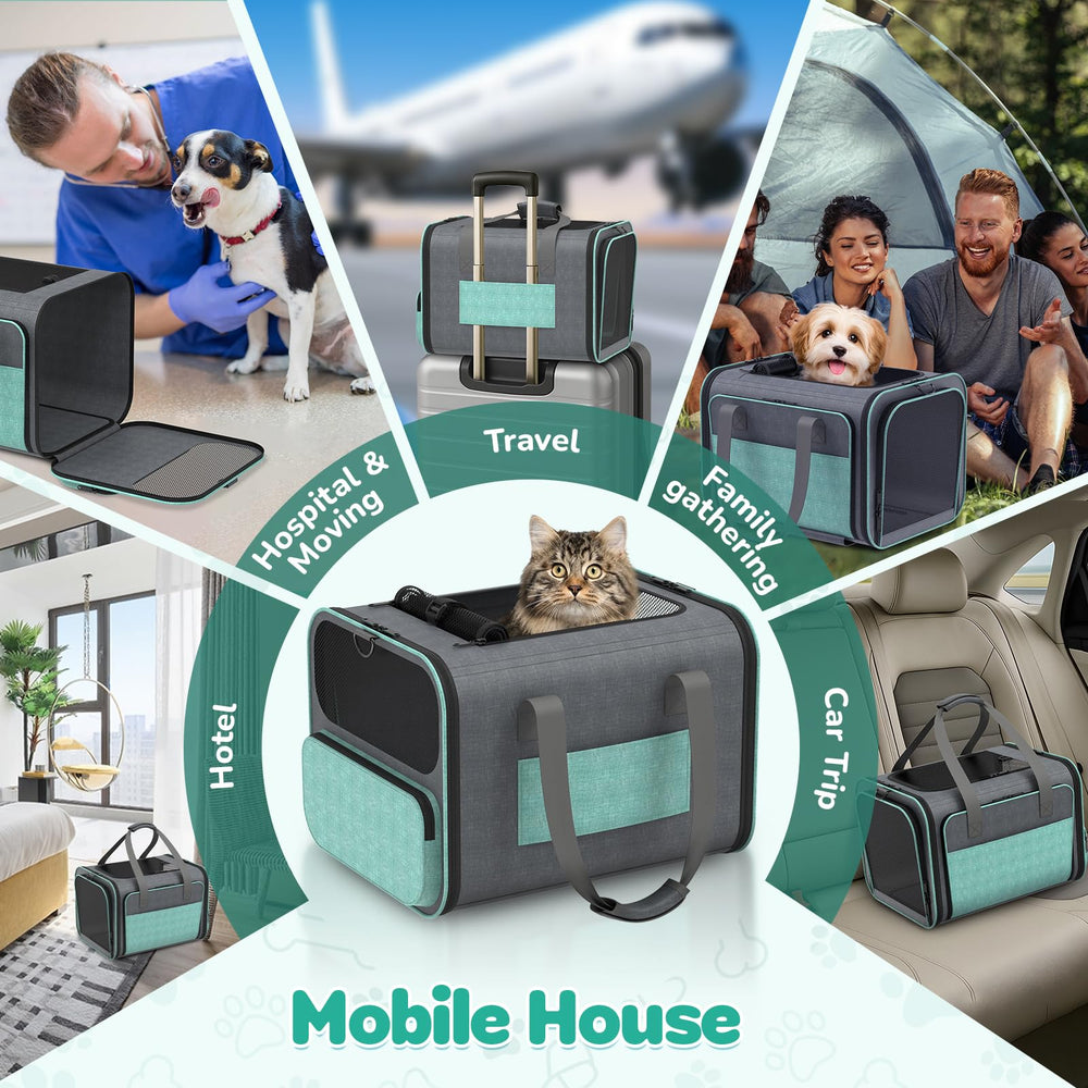 BETOPET washable fleece bed provides cozy comfort on flights or drives