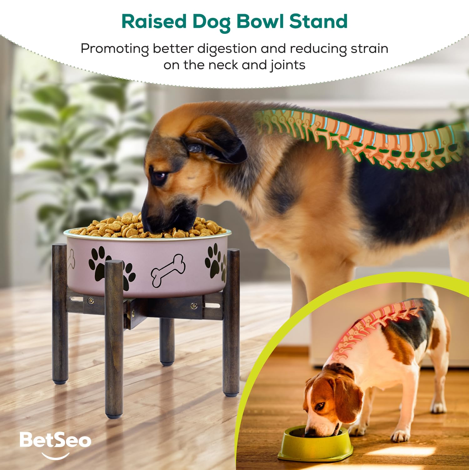 BETSEO dog bowl stand travel-ready design fits on trips.