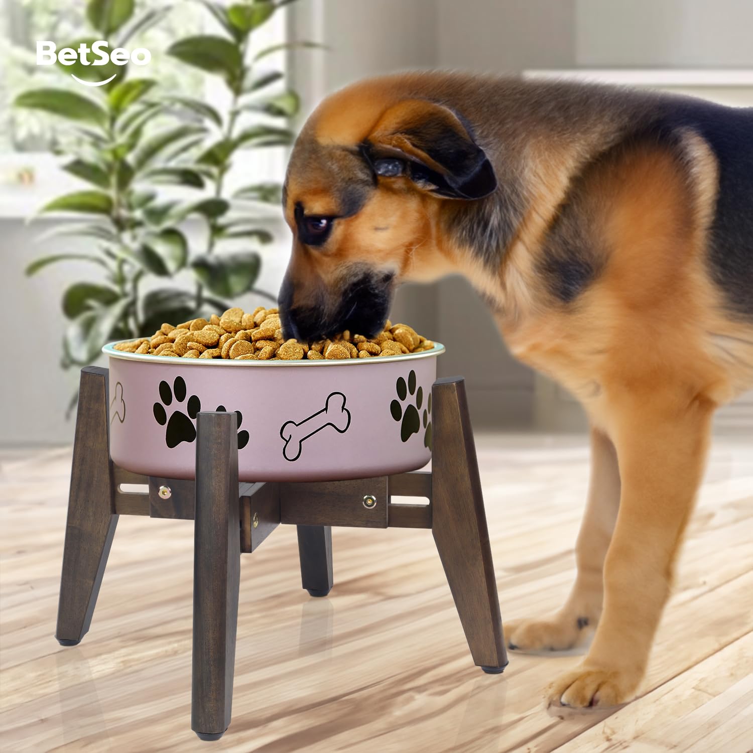 BETSEO designed for medium-to-large breeds with height-friendly feeding.