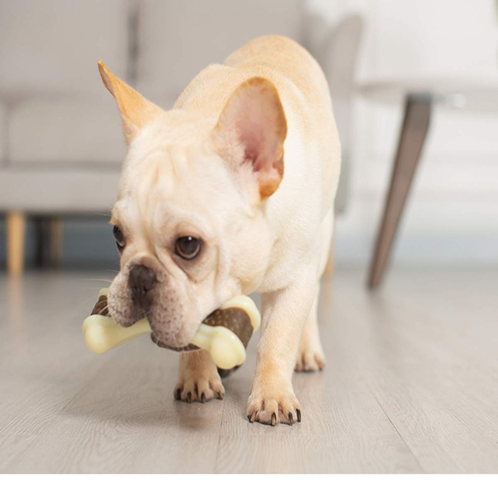 BETTEPROD BPA- and phthalate-free toy for safe chewing.