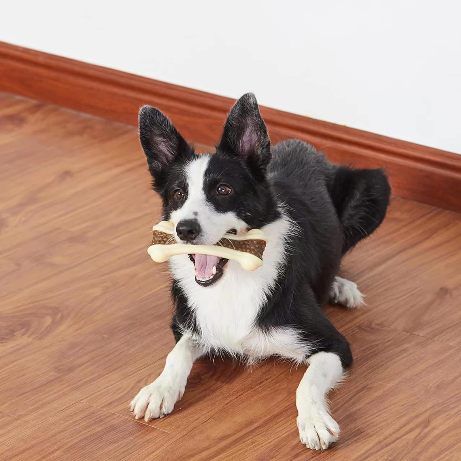 BETTEPROD large-to-small dog toy suitable for all sizes 5.3-inch bone