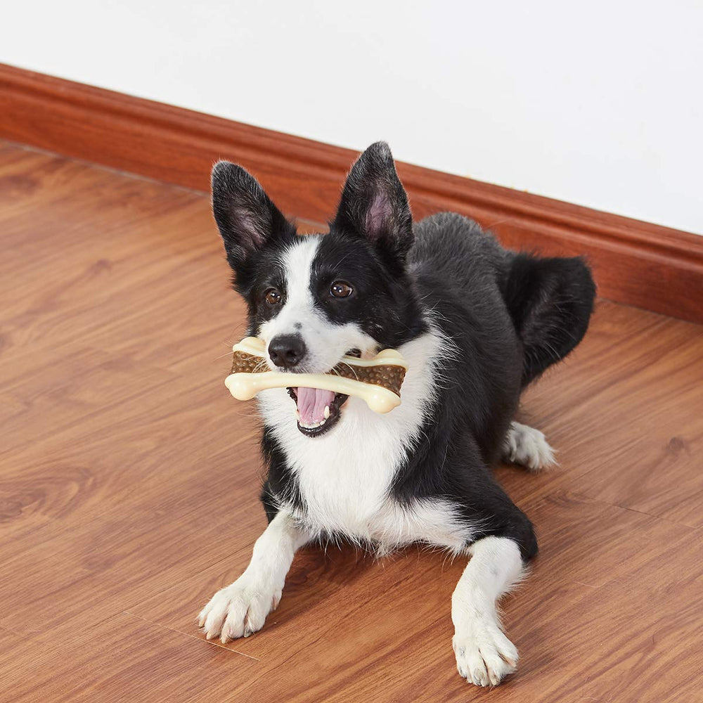 BETTEPROD available in large and medium sizes for various dog breeds.