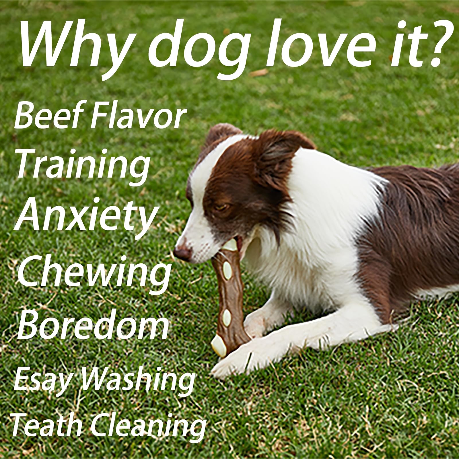 BETTEPROD teething chew for dogs supports dental play and jaw exercise.