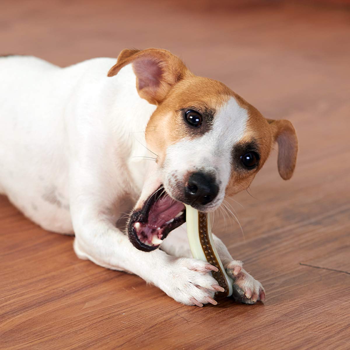 BETTEPROD two-pack package provides value for households with multiple dogs.
