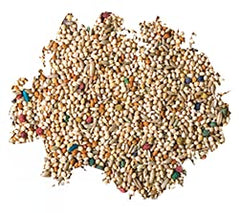 Better Bird Premium Parakeet Food ingredients close-up showing seeds for balanced nutrition.