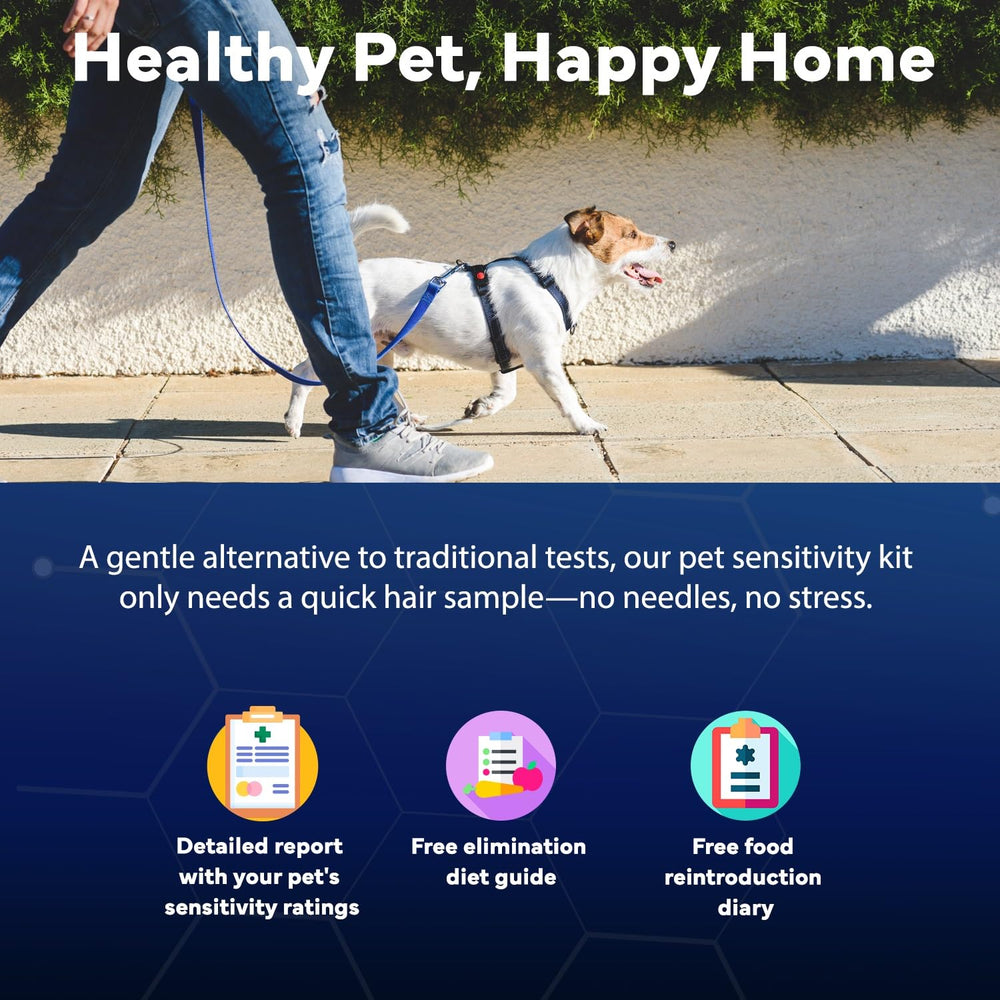 Better Life Science pet-wellness-insight illustrates potential dietary and environment insights for pet owners.