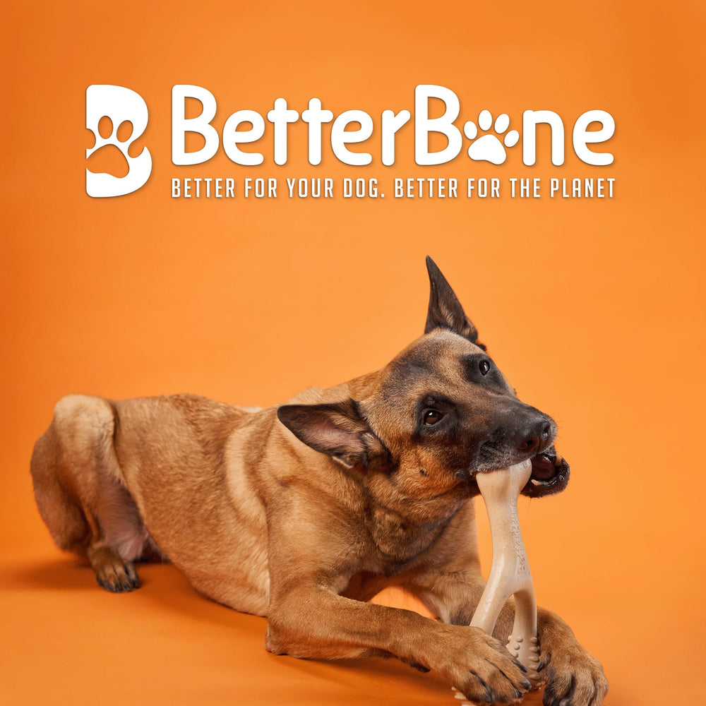 BetterBone hard density chew close-up shows rugged durability.
