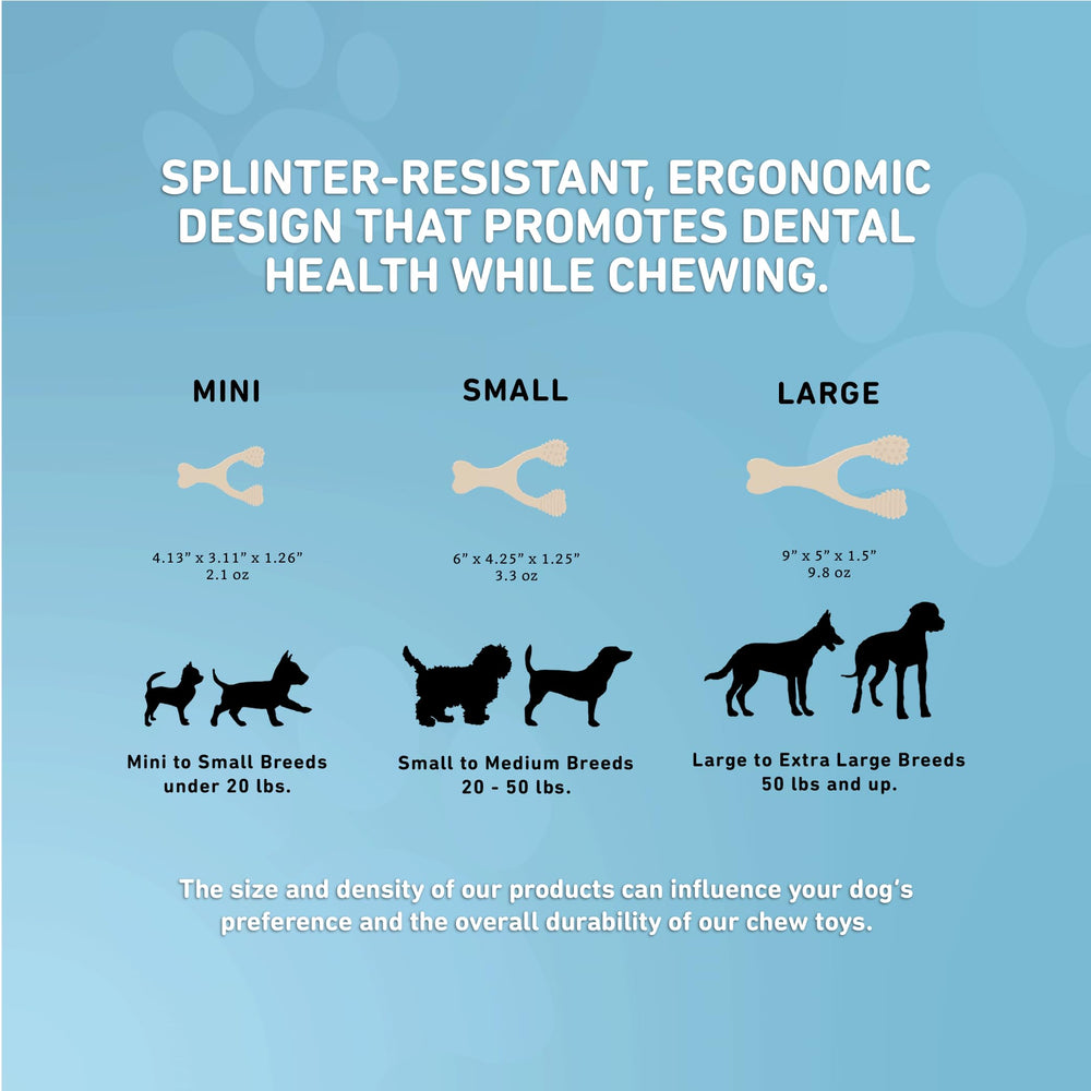BetterBone net-zero eco-packaging reflects an eco-conscious choice for pets.