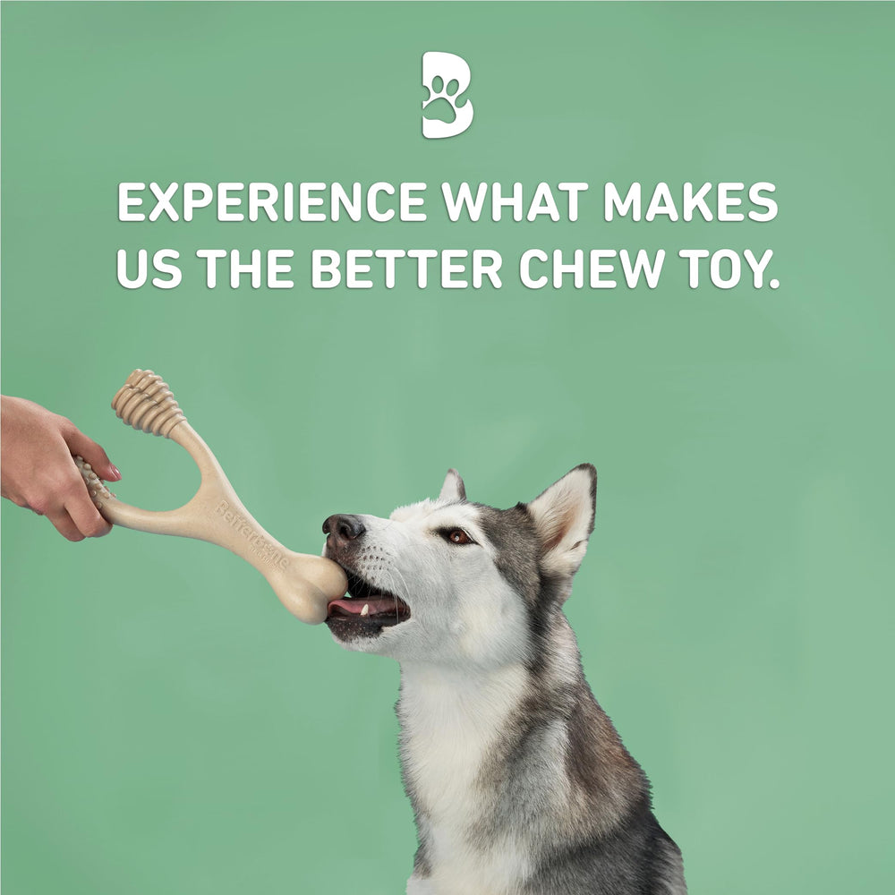 BetterBone nubs and ridges detail emphasizes textured surface for dental engagement.