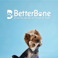 BetterBone Soft Density senior-dog chew supports comfortable chewing for aging mouths.