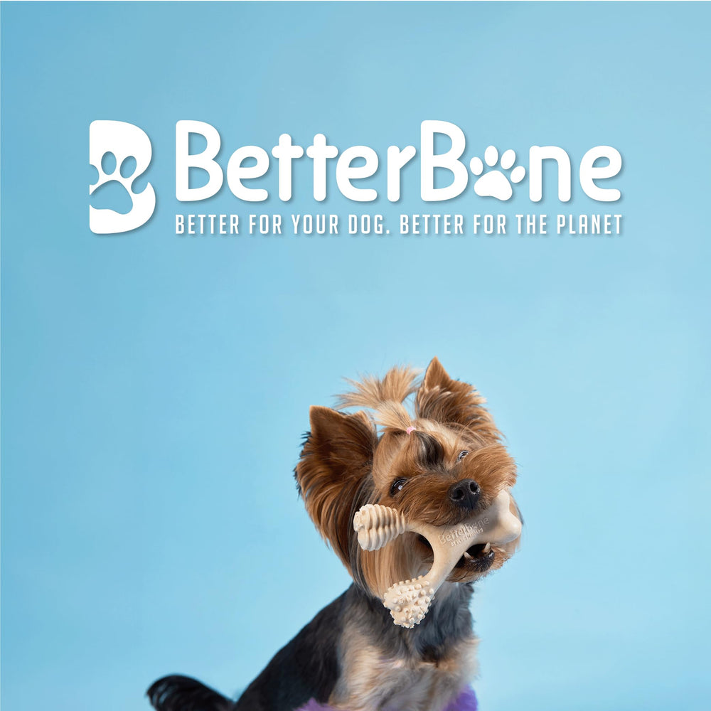 BetterBone Soft Density senior-dog shows comfortable chew for aging teeth.