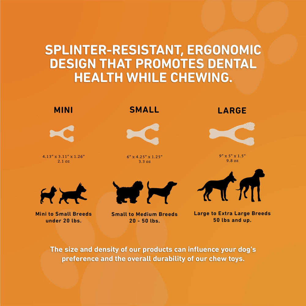 BetterBone sustainability net-zero sourcing highlights eco-friendly lifecycle.
