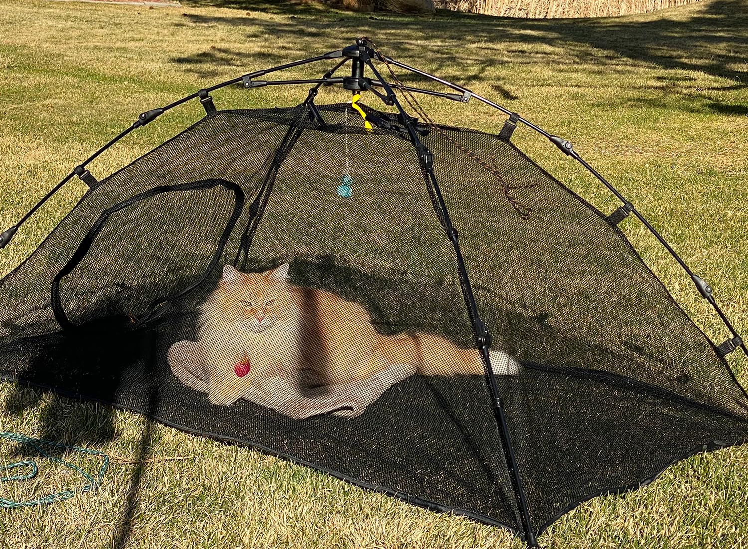 BETYMAN Outdoor Cat Tent shows 55x35 inch footprint for roomy play areas.