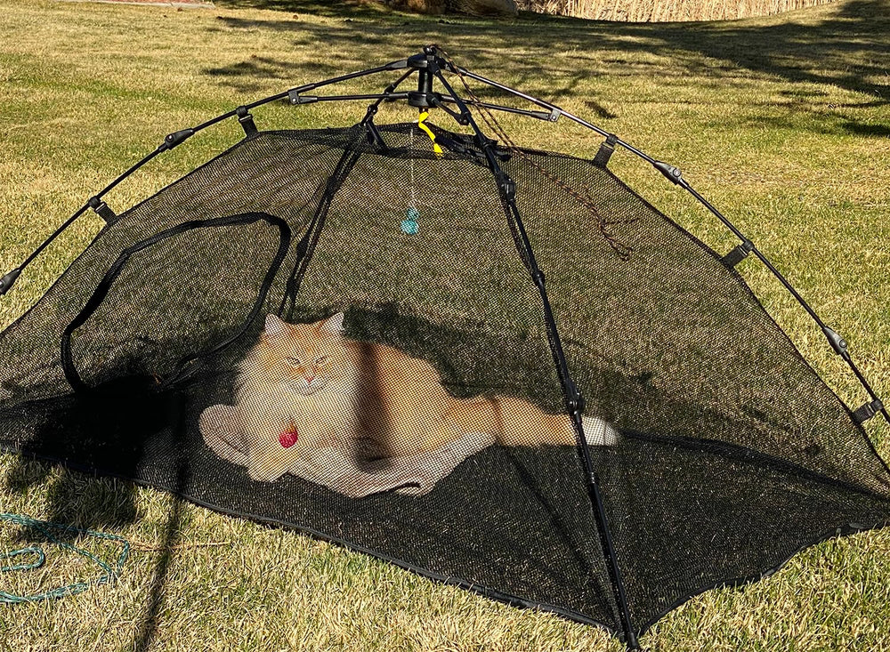 BETYMAN Outdoor Cat Tent shows 55x35 inch footprint for roomy play areas.