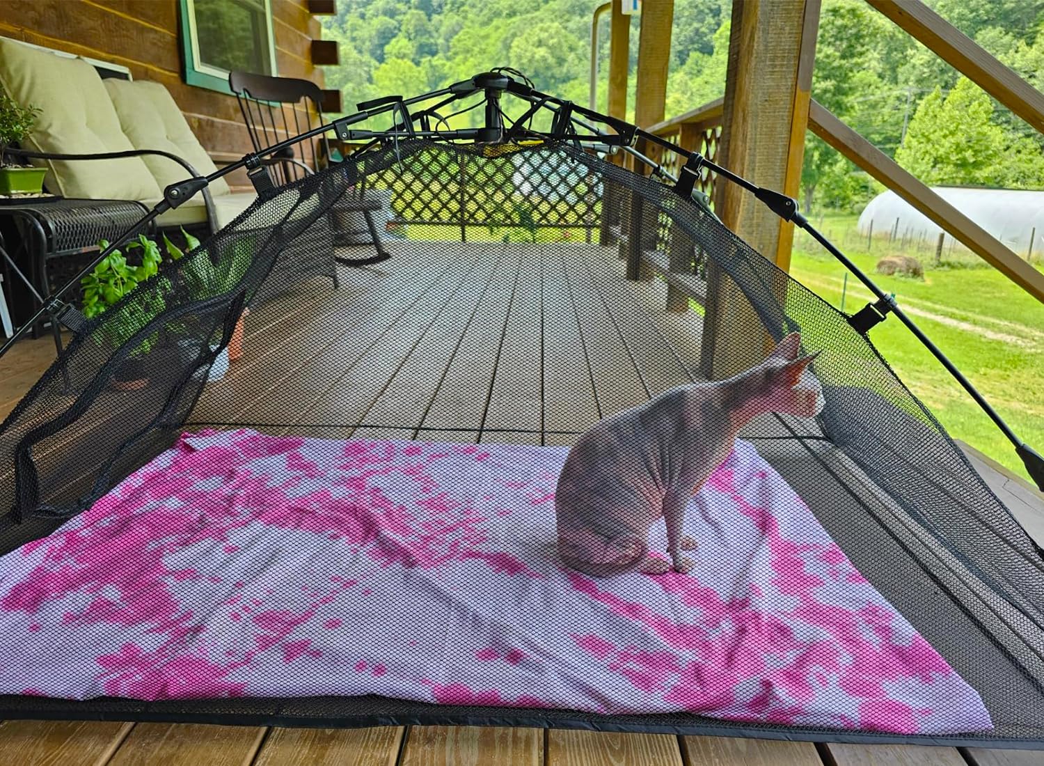 BETYMAN Outdoor Cat Tent mesh fabric promotes airflow and easier cleanup.