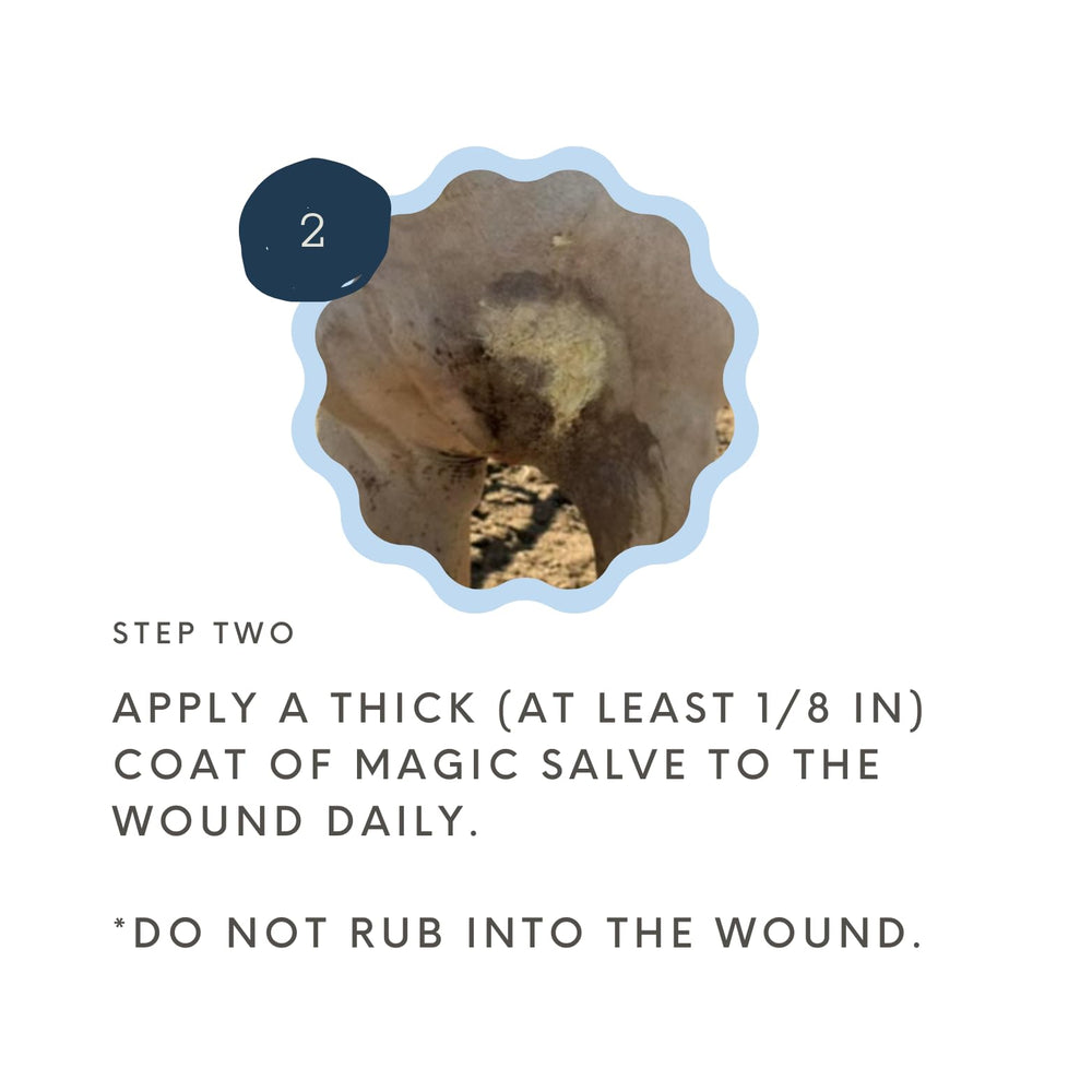Bev's Magic Salve for livestock aiding quick surface healing