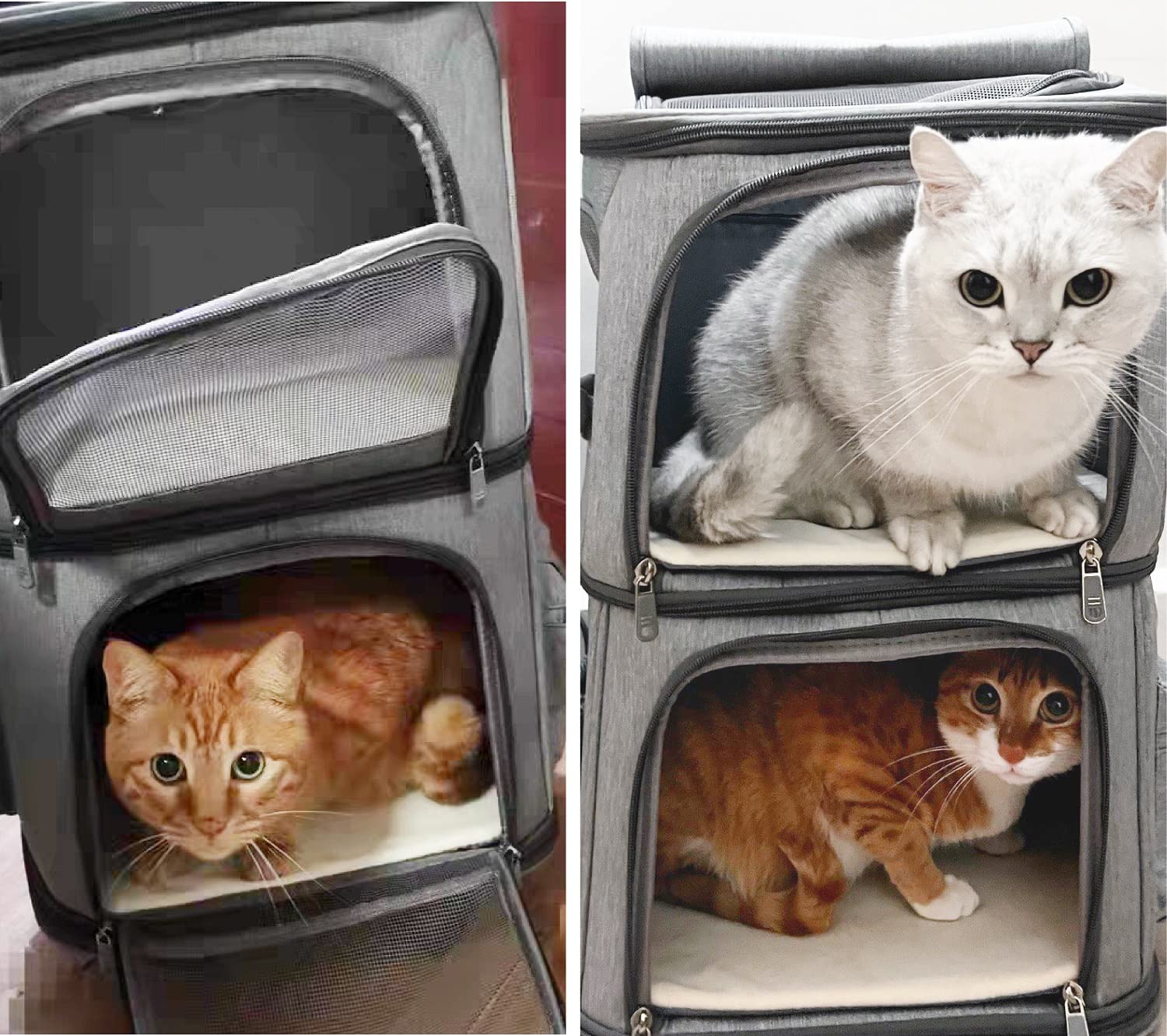 Beviliu Double Cat Carrier collapsed for easy storage at home or travel.