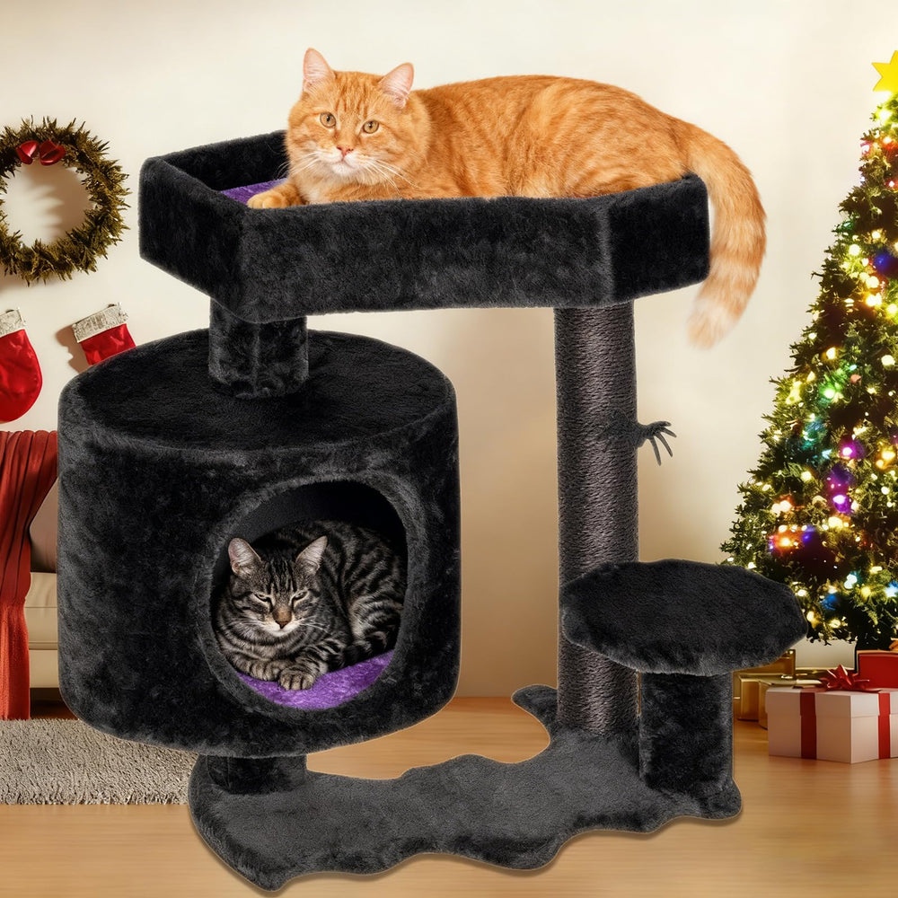 BEWISHOME cat shelves perch provides private resting spot
