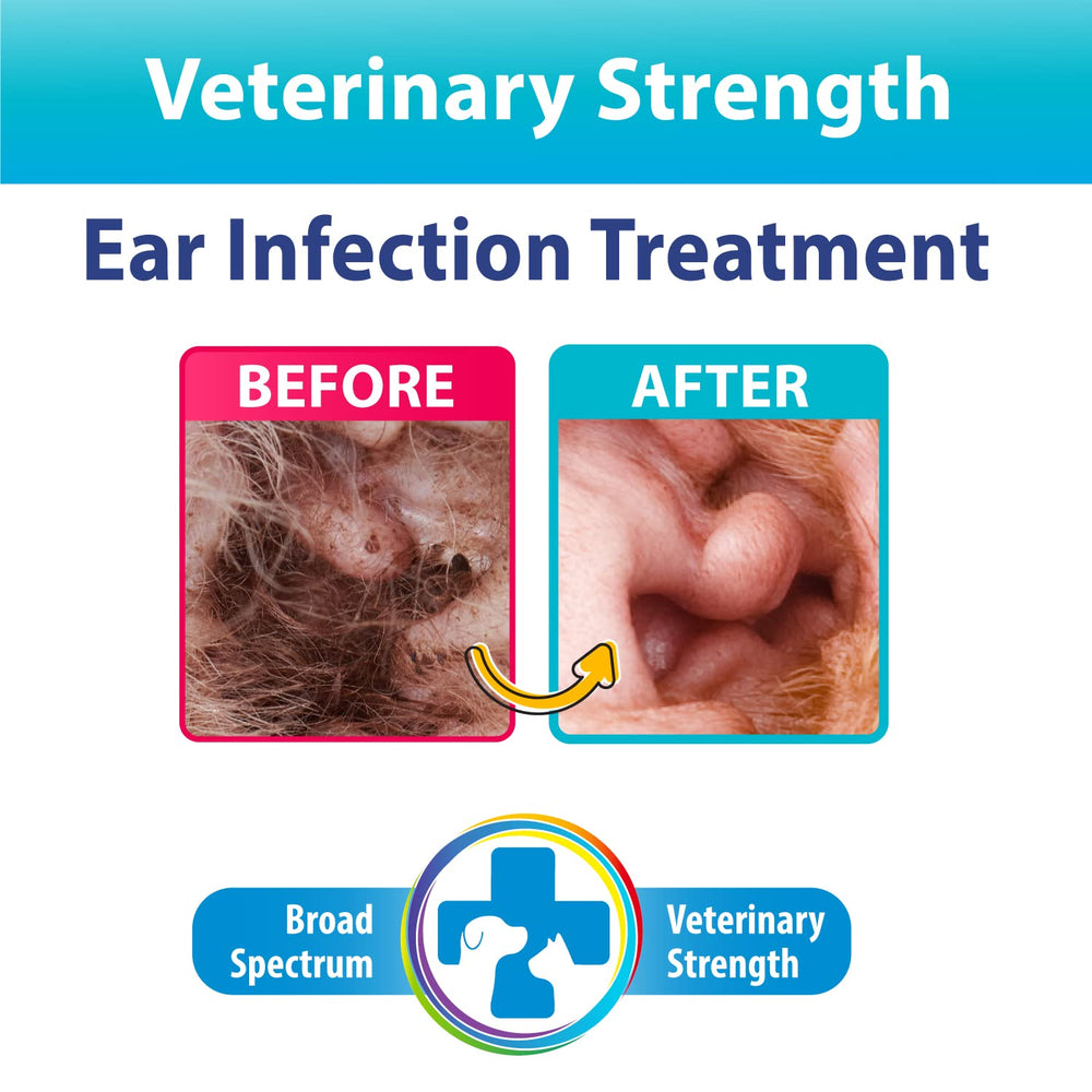 BEXLEY LABS Curaseb ear wash application demonstrates gentle application for quick relief.