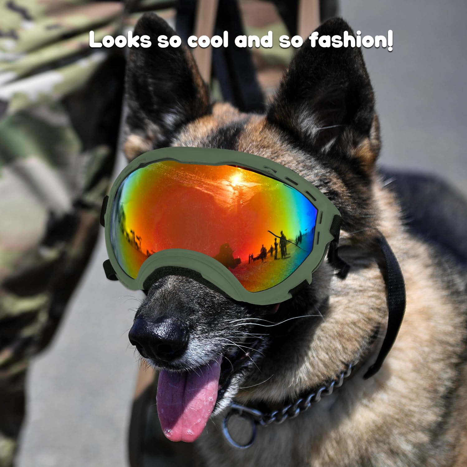 Beyoung dog goggles in use during a walk showing stylish design and eye protection.