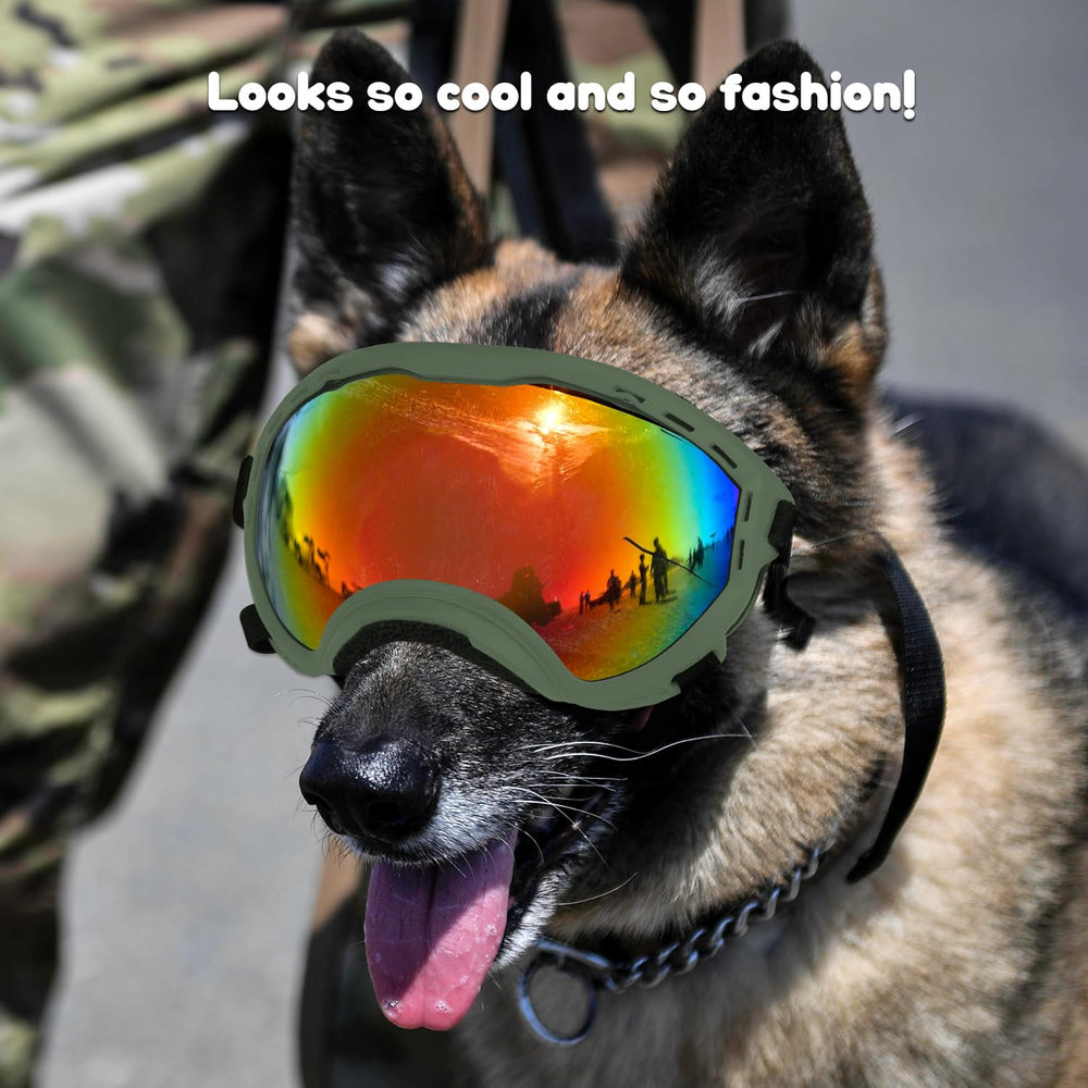 Beyoung dog goggles in use during a walk showing stylish design and eye protection.