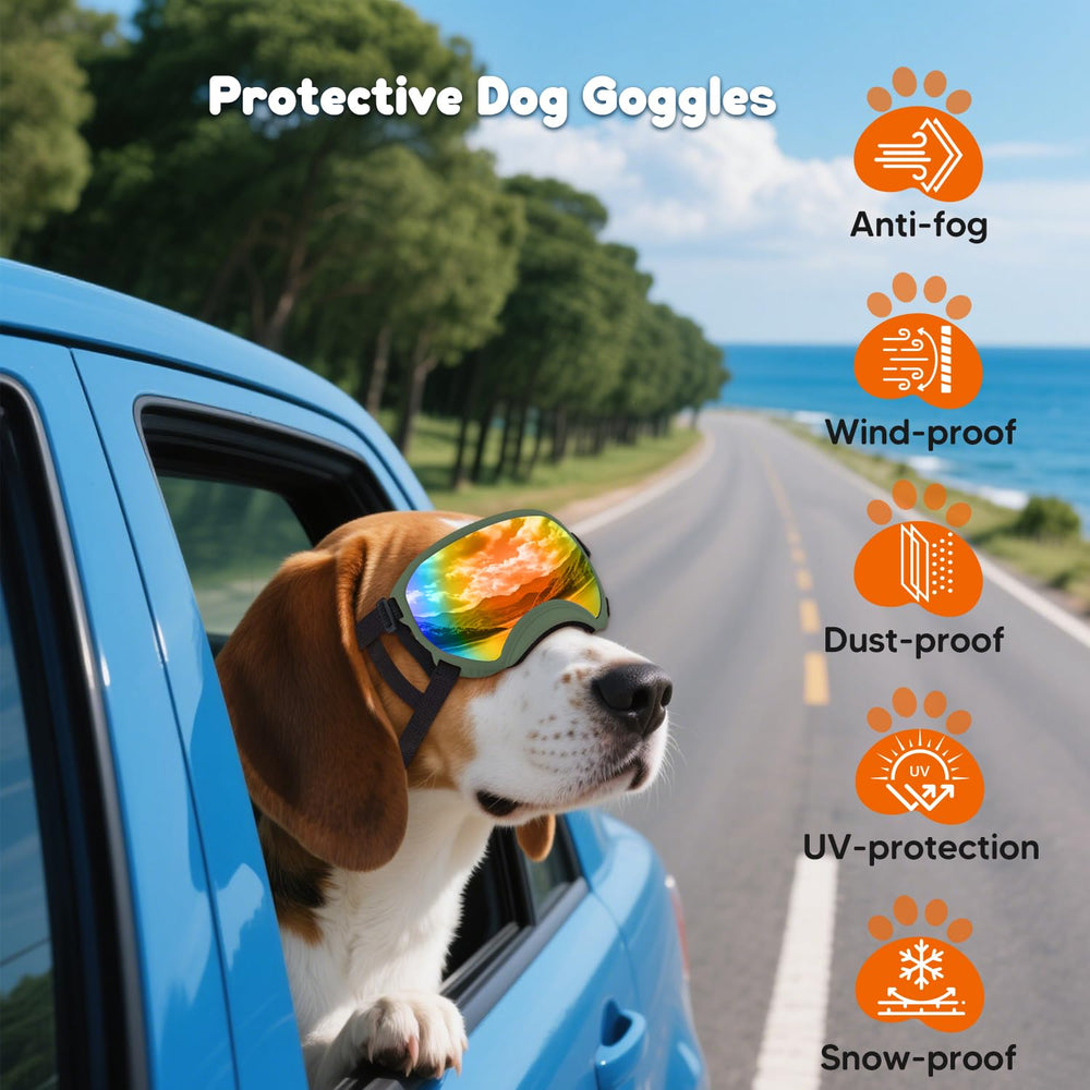 Beyoung dog goggles head and chin strap setup ensures secure daily wear.