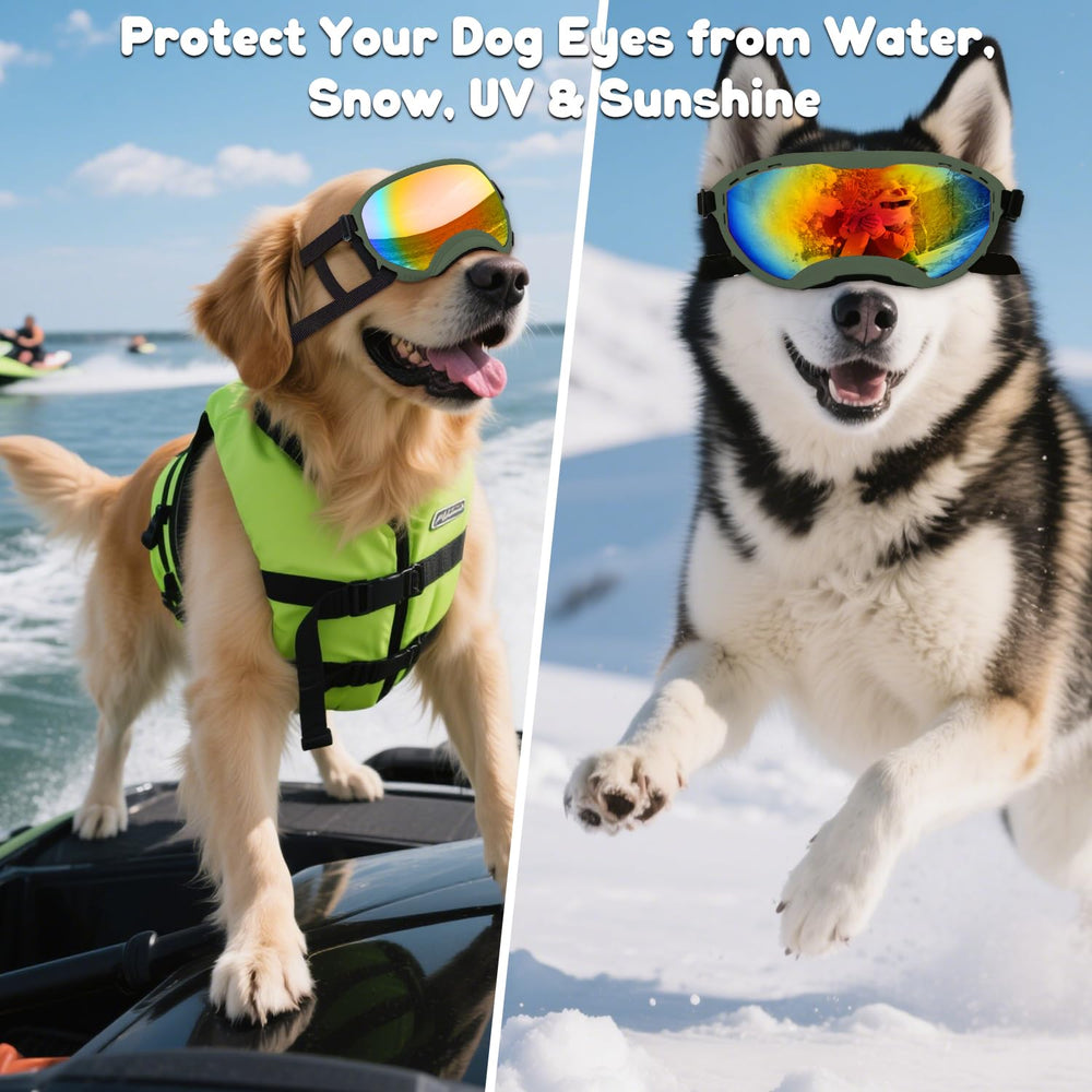 Beyoung dog goggles ready for outdoor adventures with durable eye protection.