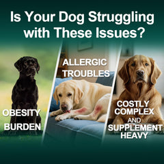 BFDEREN serving jar highlights probiotics and immune-support ingredients for dogs.