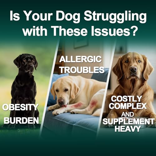 BFDEREN dog allergy relief chews coat health and skin nourishment visual.