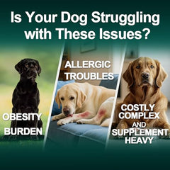 BFDEREN dog allergy relief chews coat health and skin nourishment visual.
