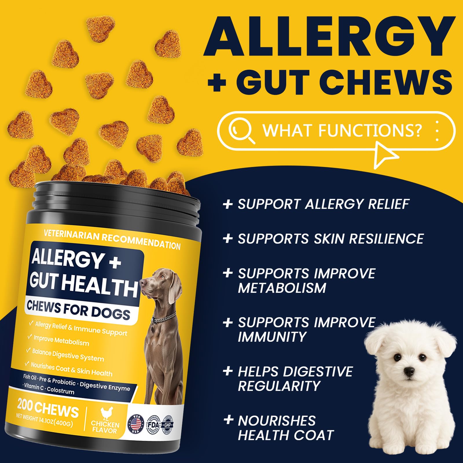 BFDEREN probiotics digestive health for dogs to support gut balance