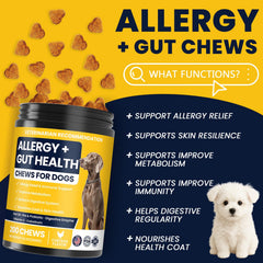 BFDEREN probiotics digestive health for dogs to support gut balance