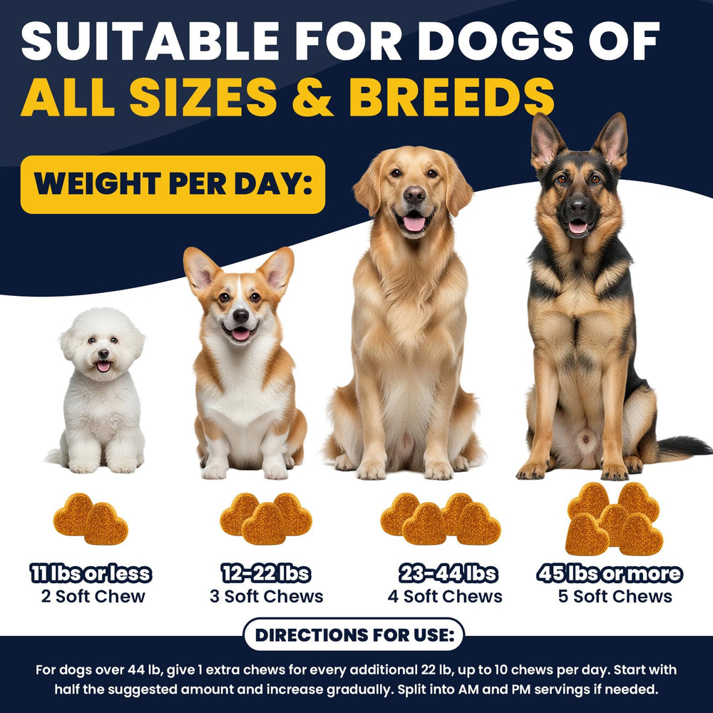 BFDEREN skin-coat support image highlighting healthy shiny coat