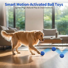 BFFWOW dog ball mode settings shown, offering energy-balanced play for active dogs.