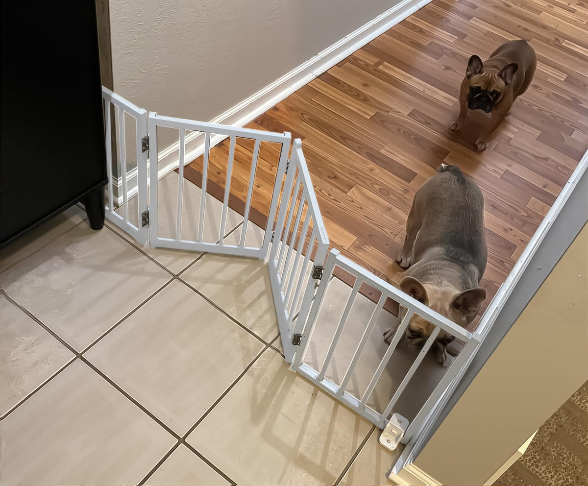 BFNN free-standing foldable dog gate 16.5-inch height supports easy doorway setup for pet safety.