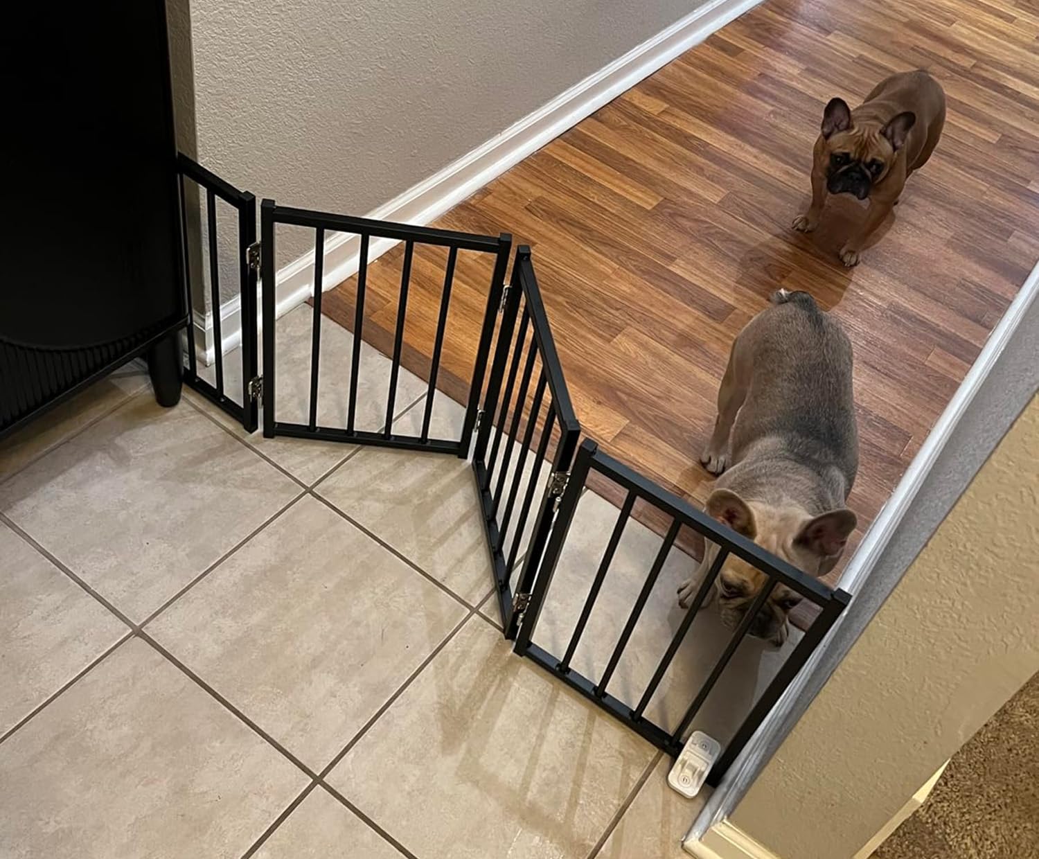 BFNN free-standing gate assembly-free view demonstrates quick, tool-free setup for pet zones