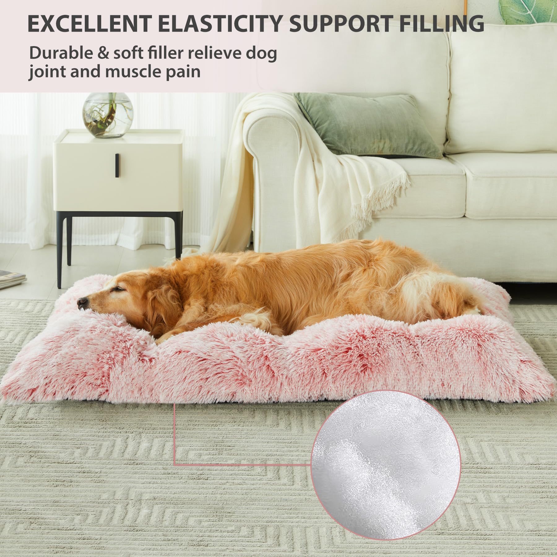 BFPETHOME plush cushion bed with soft filling for cozy canine naps.