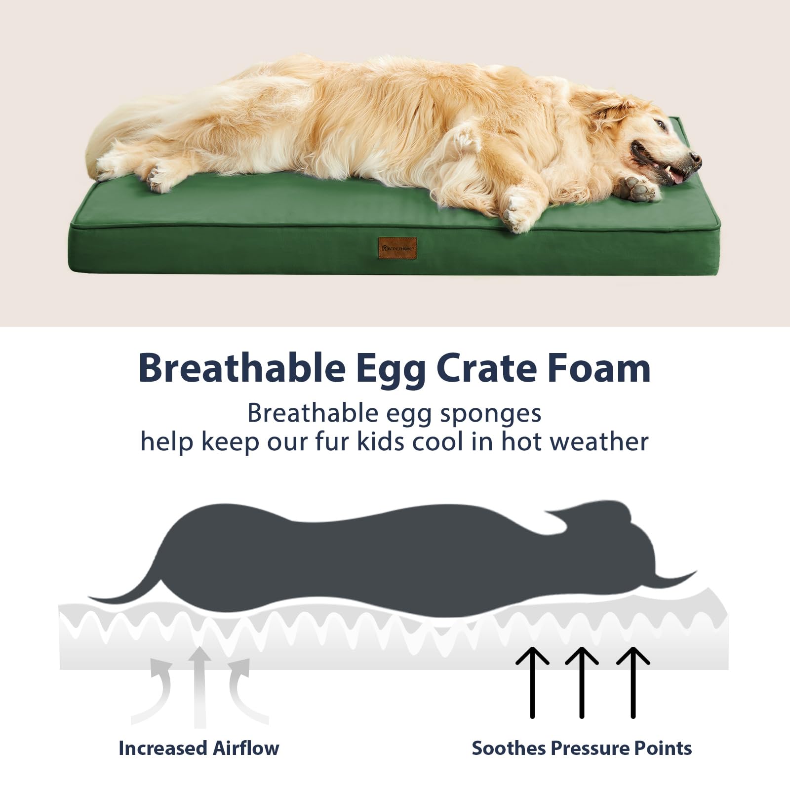 BFPETHOME 47 x 29 x 3.5 inch bed fits big dogs up to 110 lbs.