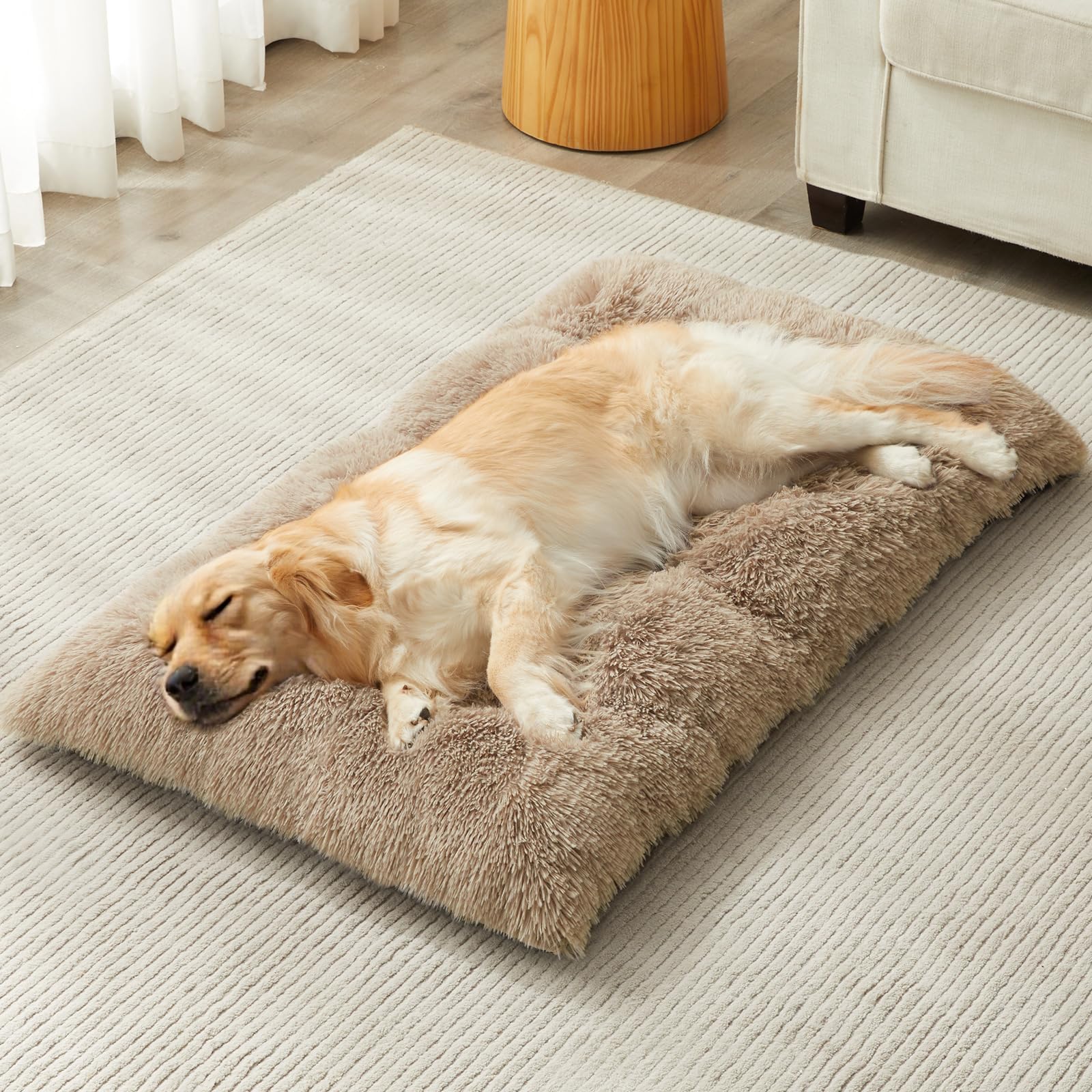BFPETHOME large dog bed box view shows easy unboxing and quick setup