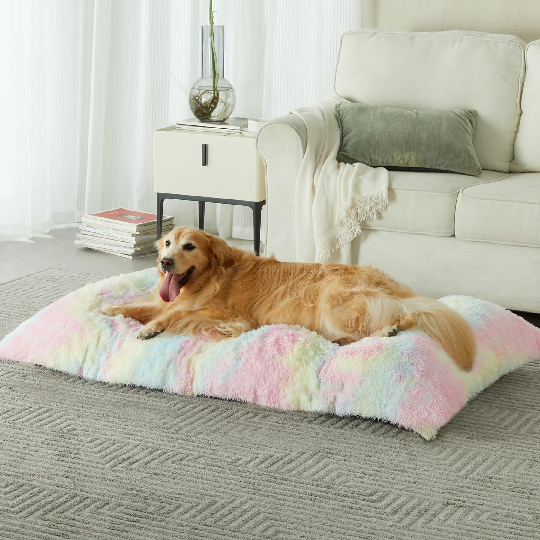 BFPETHOME rainbow fabric bed adds cheerful color to space